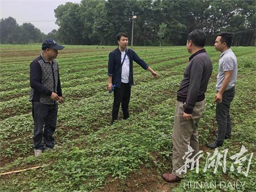 湖南中药材种植,药品批发,湖南神舟中药饮片有限公司 湖南中药材种植,药品批发,湖南神舟中药饮片有限公司