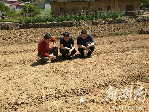 湖南中药材种植,药品批发,湖南神舟中药饮片有限公司 湖南中药材种植,药品批发,湖南神舟中药饮片有限公司