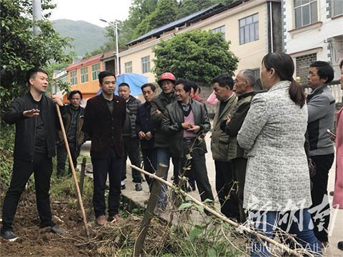 湖南中药材种植,药品批发,湖南神舟中药饮片有限公司 湖南中药材种植,药品批发,湖南神舟中药饮片有限公司