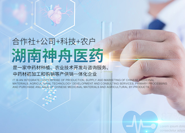 湖南中药材种植|药品批发_湖南神舟中药饮片有限公司